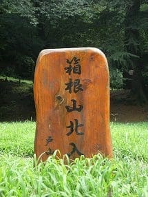 箱根山②7.22